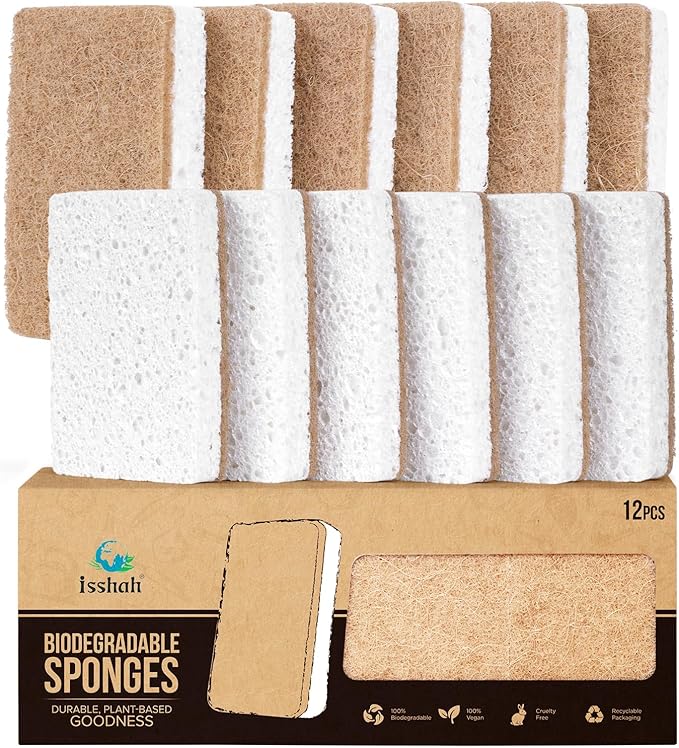 Sponges